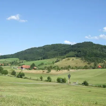 Sonniges-naturnahes-schwarzwald-ferienhaeuschen * Welschensteinach