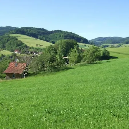 Holiday home Sonniges-naturnahes-schwarzwald-ferienhaeuschen *