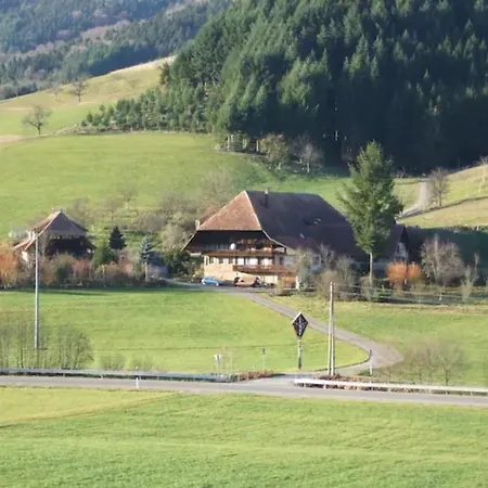 Semesterbostad Sonniges-naturnahes-schwarzwald-ferienhaeuschen Welschensteinach